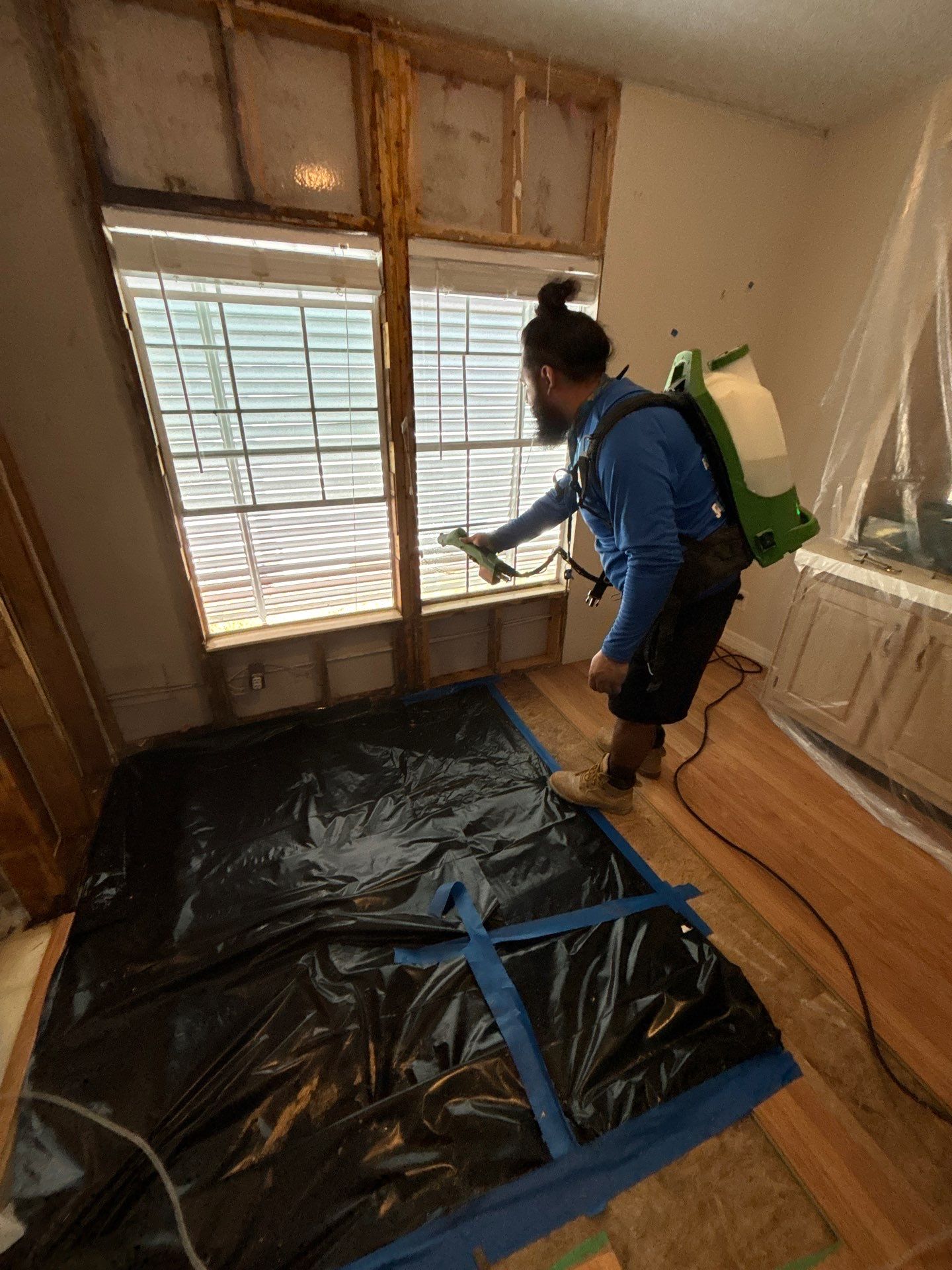 Mold Remediation Palmetto by Ampm Restoration Services 