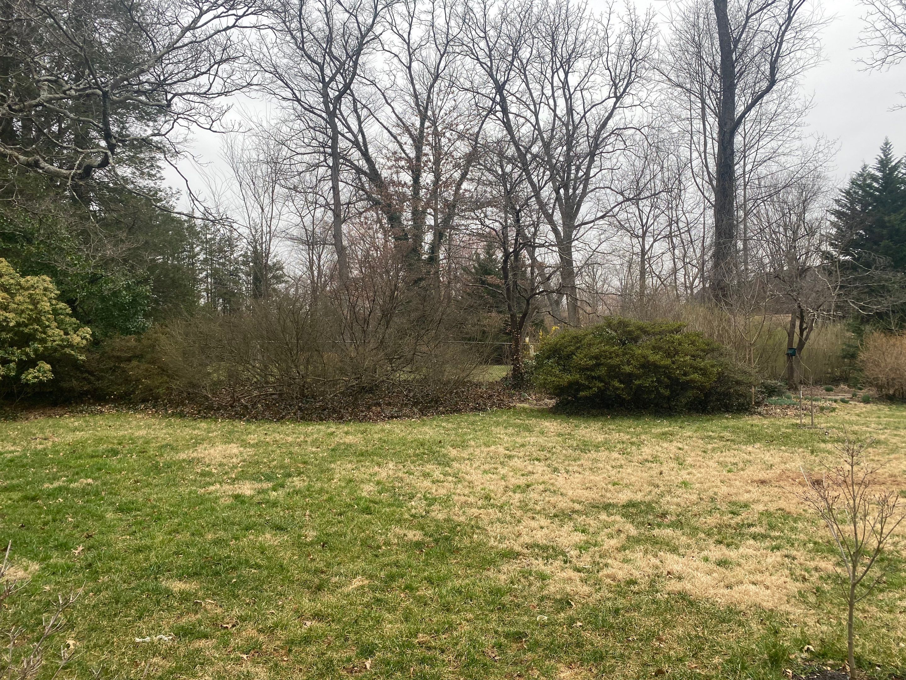 Landscape cleanup & drainage by The Smet Companies, LLC