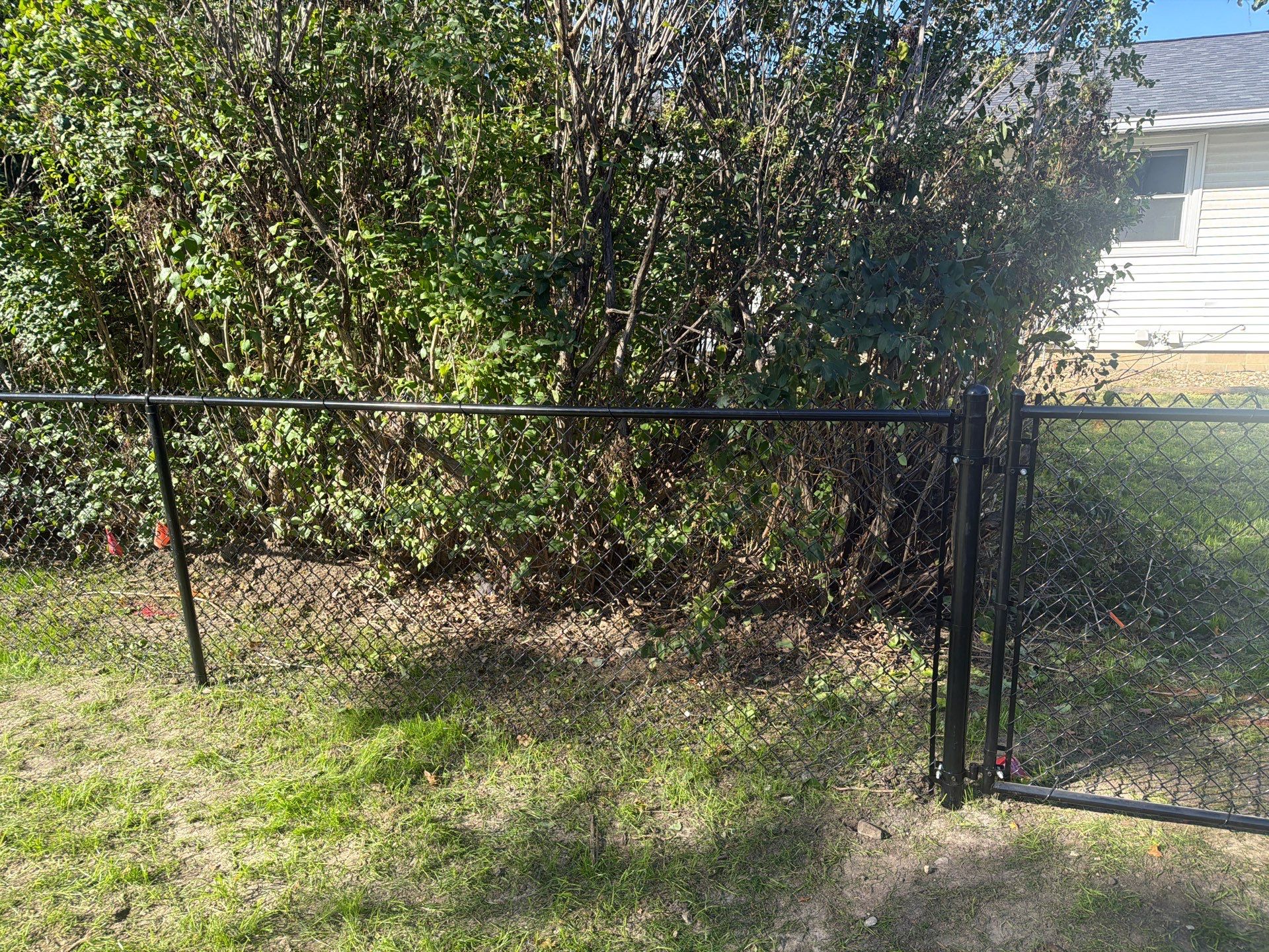 Black Chain Link Fence Installation with Double Gate in Cedar Falls by Perfect Picket Fence and Stain