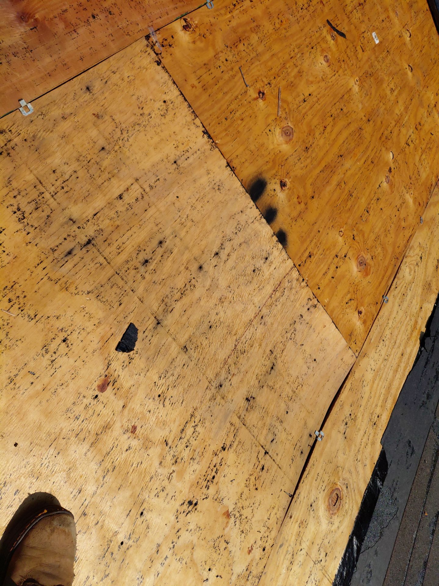 Alexandria: Residential Roof with CertainTeed Landmark Pro in Max Def Burnt Sienna by RM Banning, Inc.