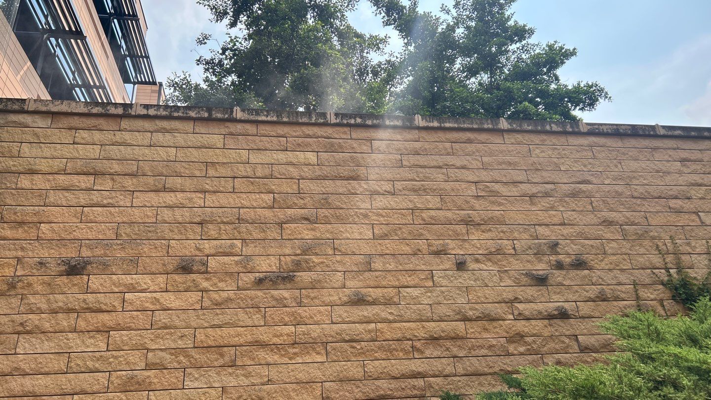 natural stone using Algaecide, soft wash soap by Northern Power Washing LLC.