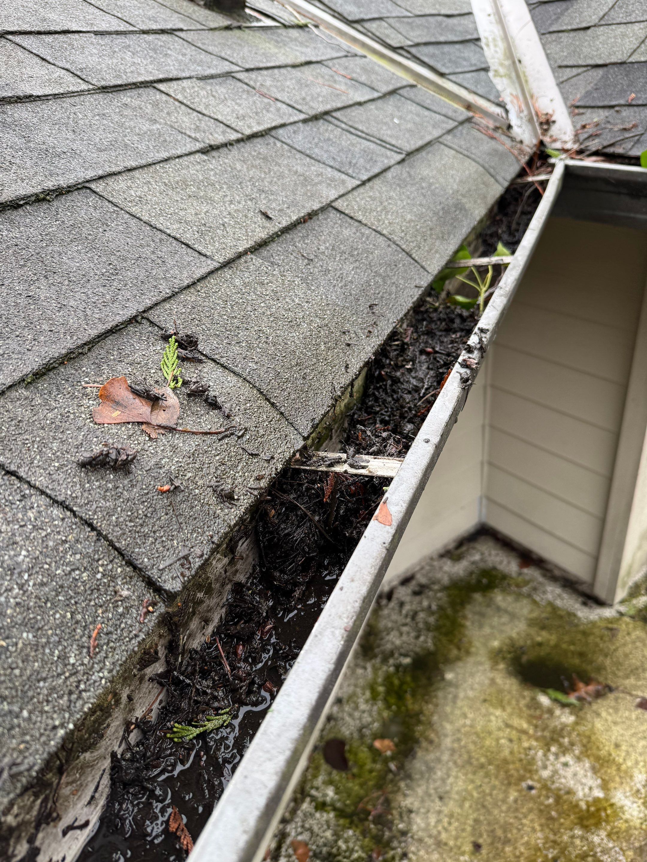 Gutter Cleaning by YVR Construction Group
