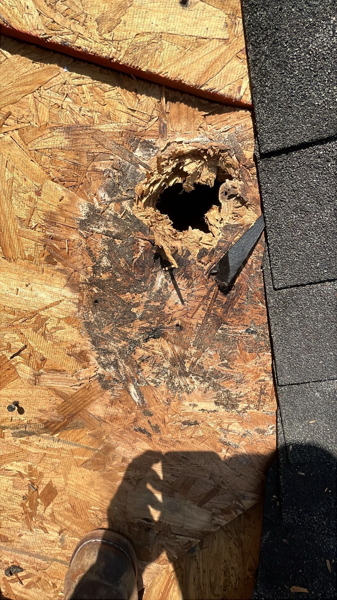 Roof Replacement Missouri City by Roof Repair Services LLC