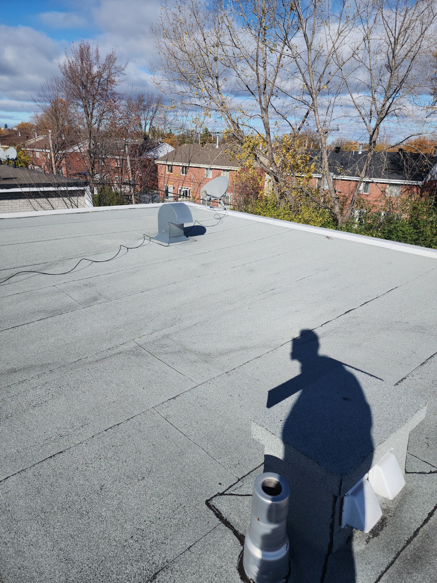 Flat roof Installation  by Eco-Nature Construction Inc.