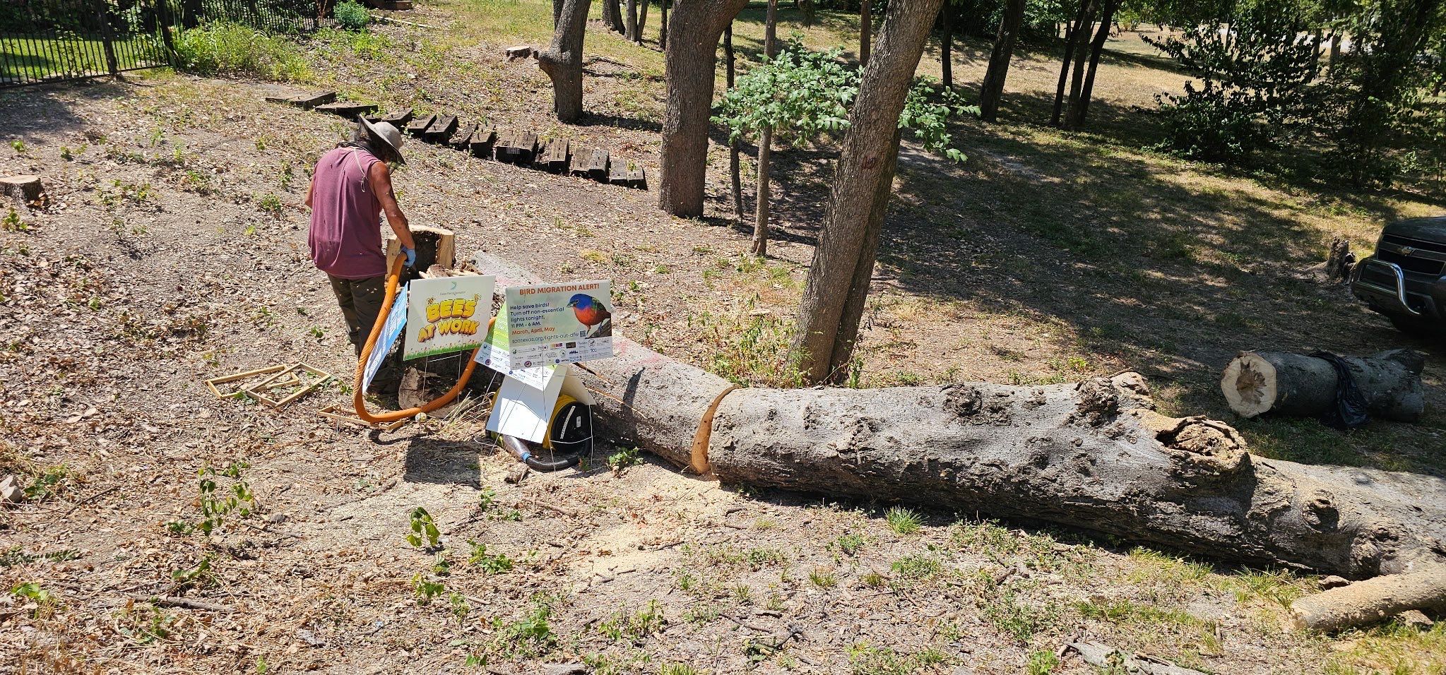 White Rock Tree by Rockwall Honey Bee Company