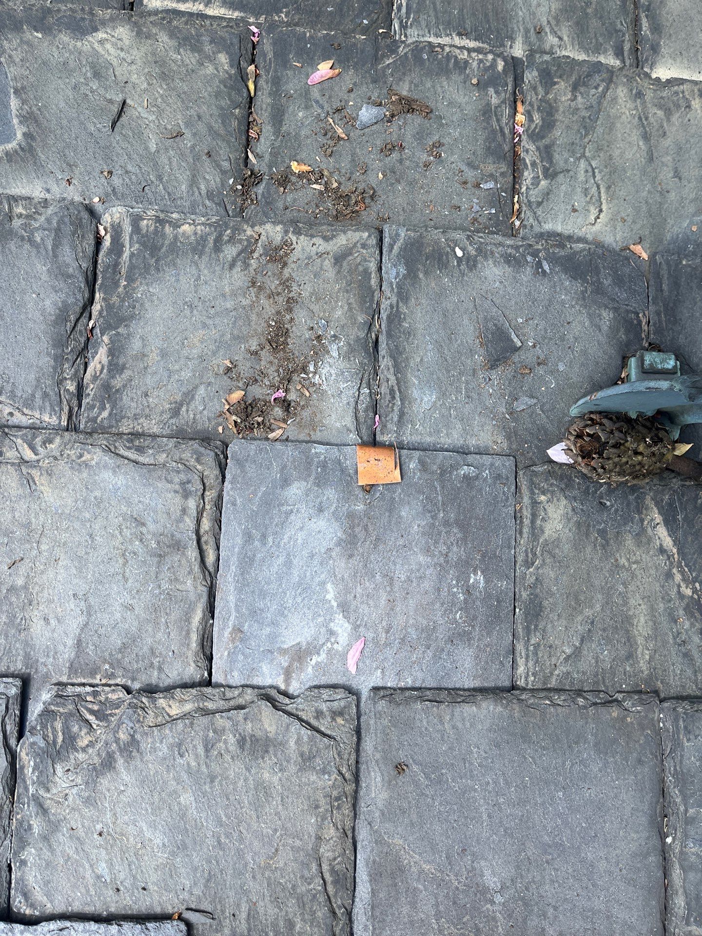 Arlington: Buckingham Slate and Carlisle Syntec TPO Roof by RM Banning, Inc.