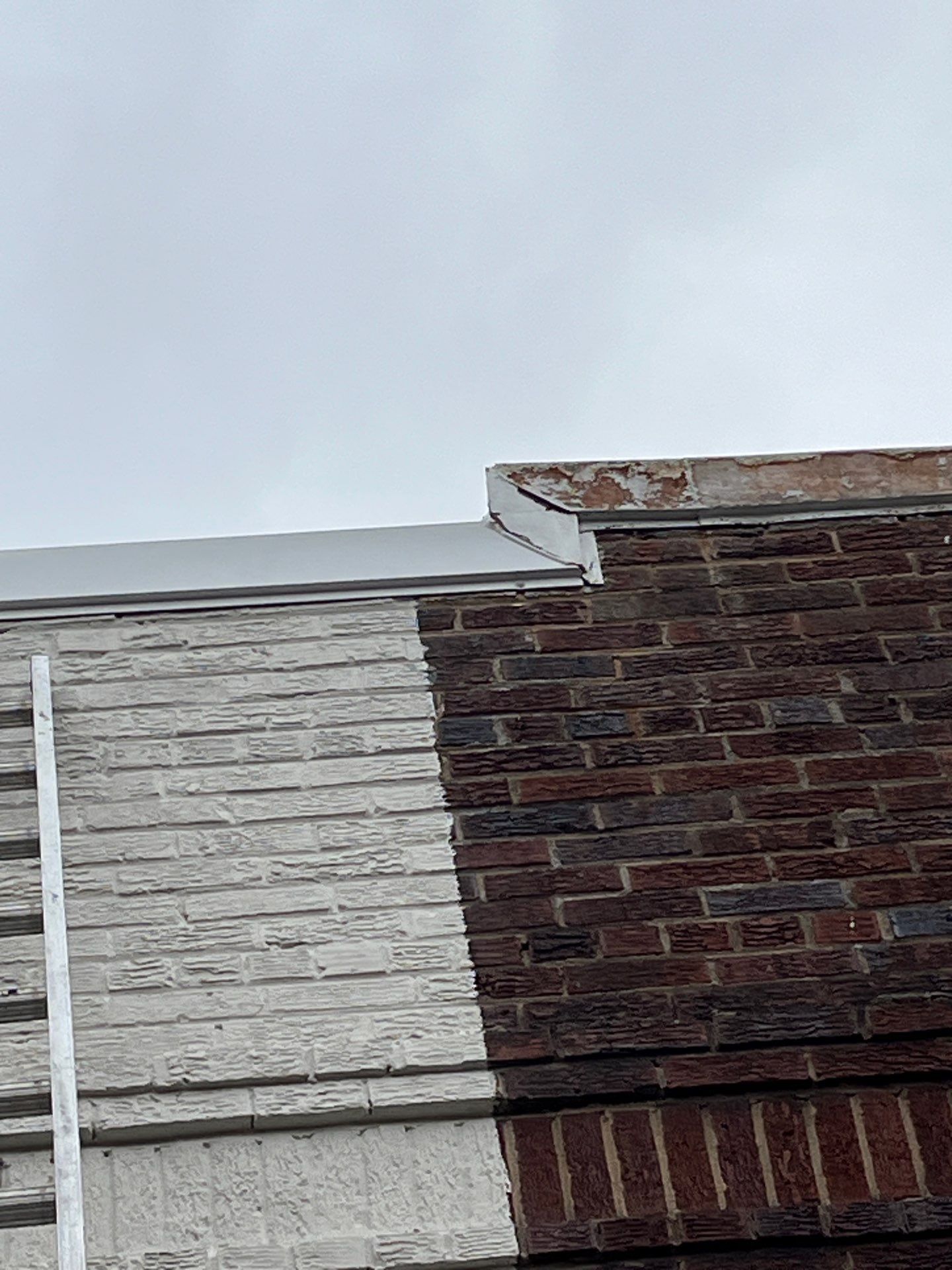 Alexandria: Residential Flat Roof Replacement with Mule Hide TPO Membrane by RM Banning, Inc.