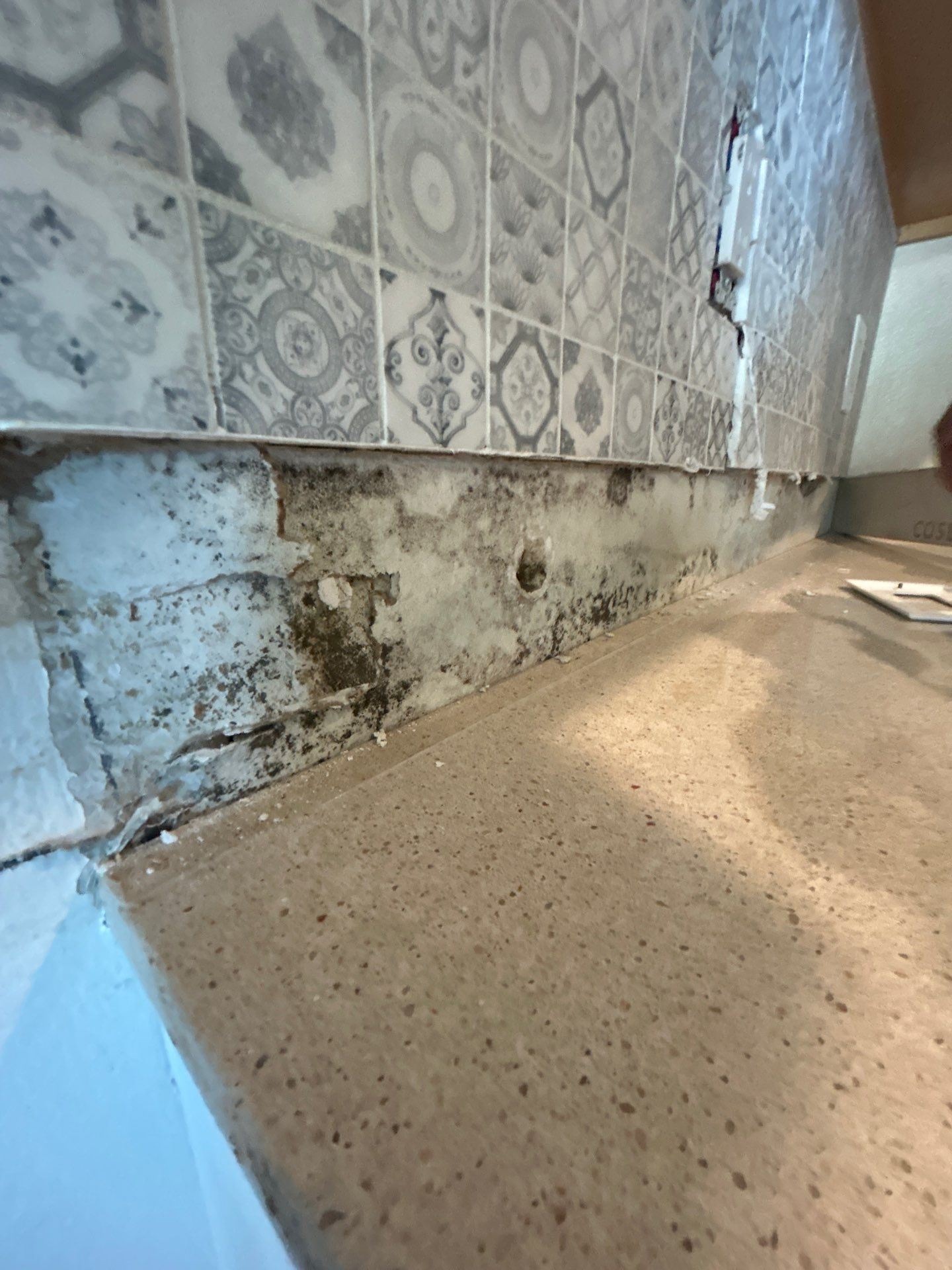 Palmetto Mold Removal & Repair by Ampm Restoration Services