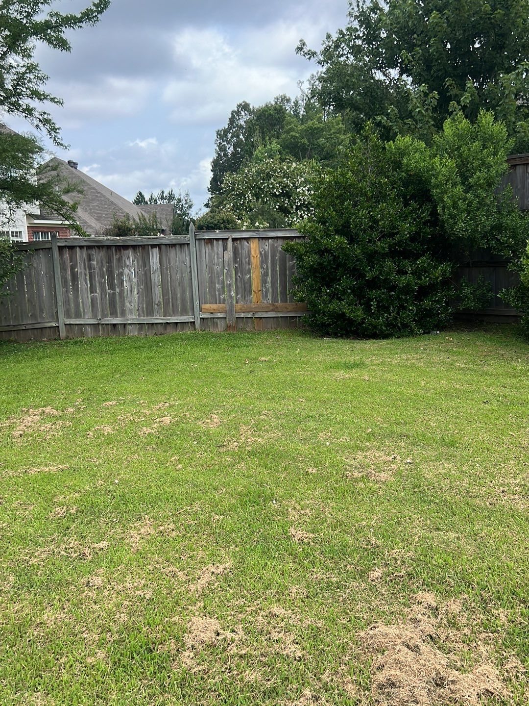 6ft Treated Pine Good Neighbor Fence French Gothic Posts by Roberson Construction LLC