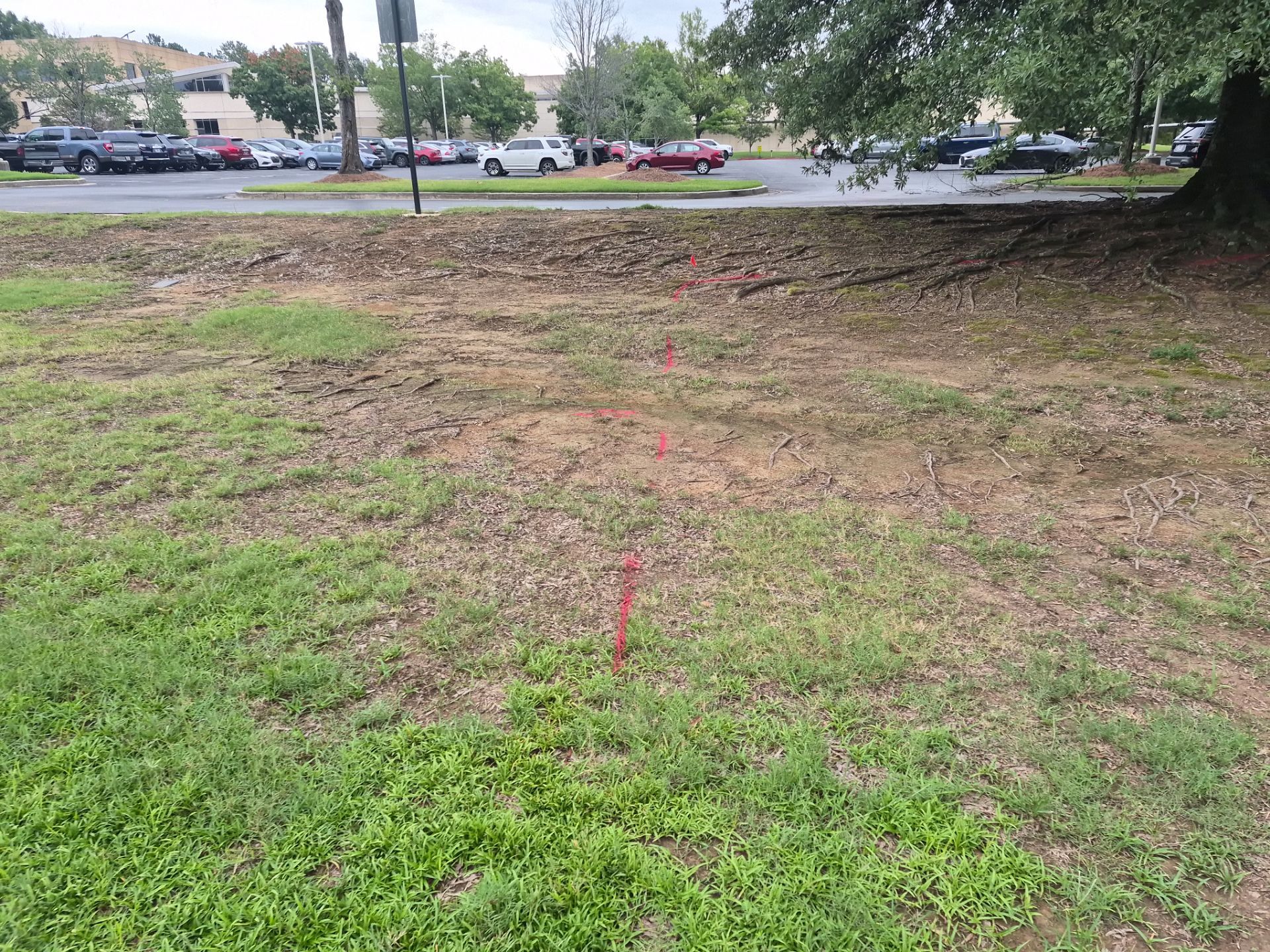 Private Utility Locating and Marking for Collierville Commercial Campus by Alsip Locating Service, LLC
