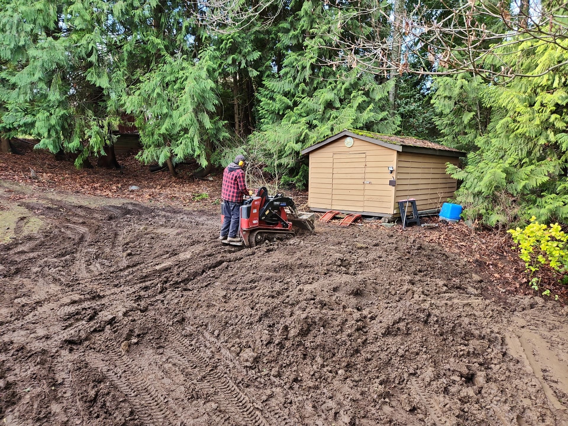 Complete Backyard Transformation with Eco-Lawn, Xeriscape, and New Chain Link Fence Installation by Habanero Garden and Exterior Care