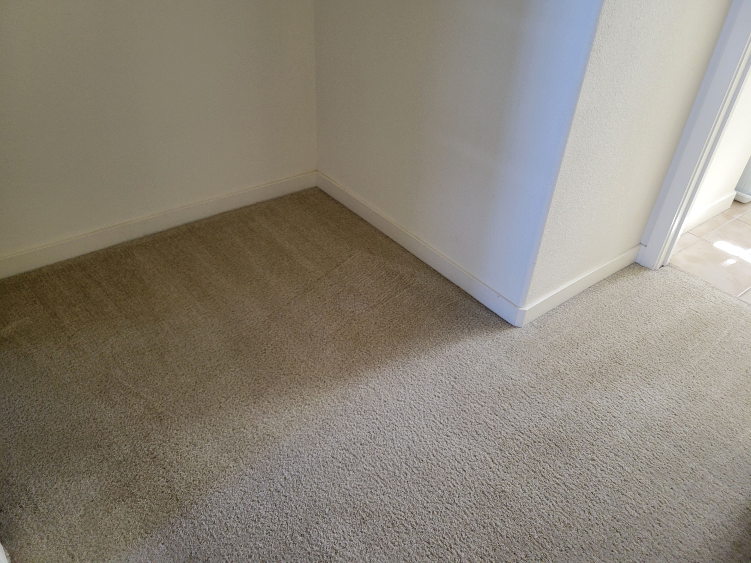 Carpet Cleaning & Stain Removal by Ardent Carpet Restore LLC