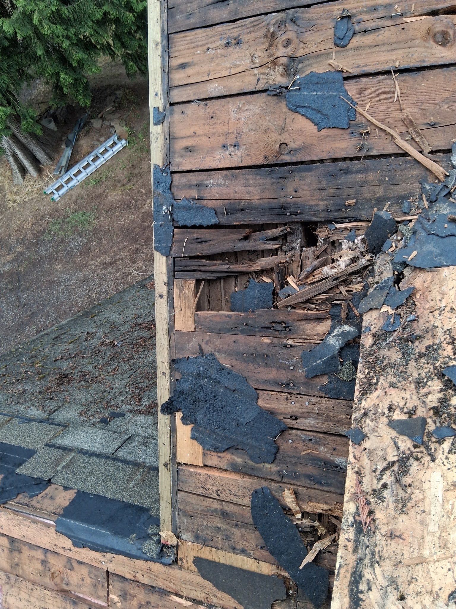Project in Gresham by Tom Leach Roofing