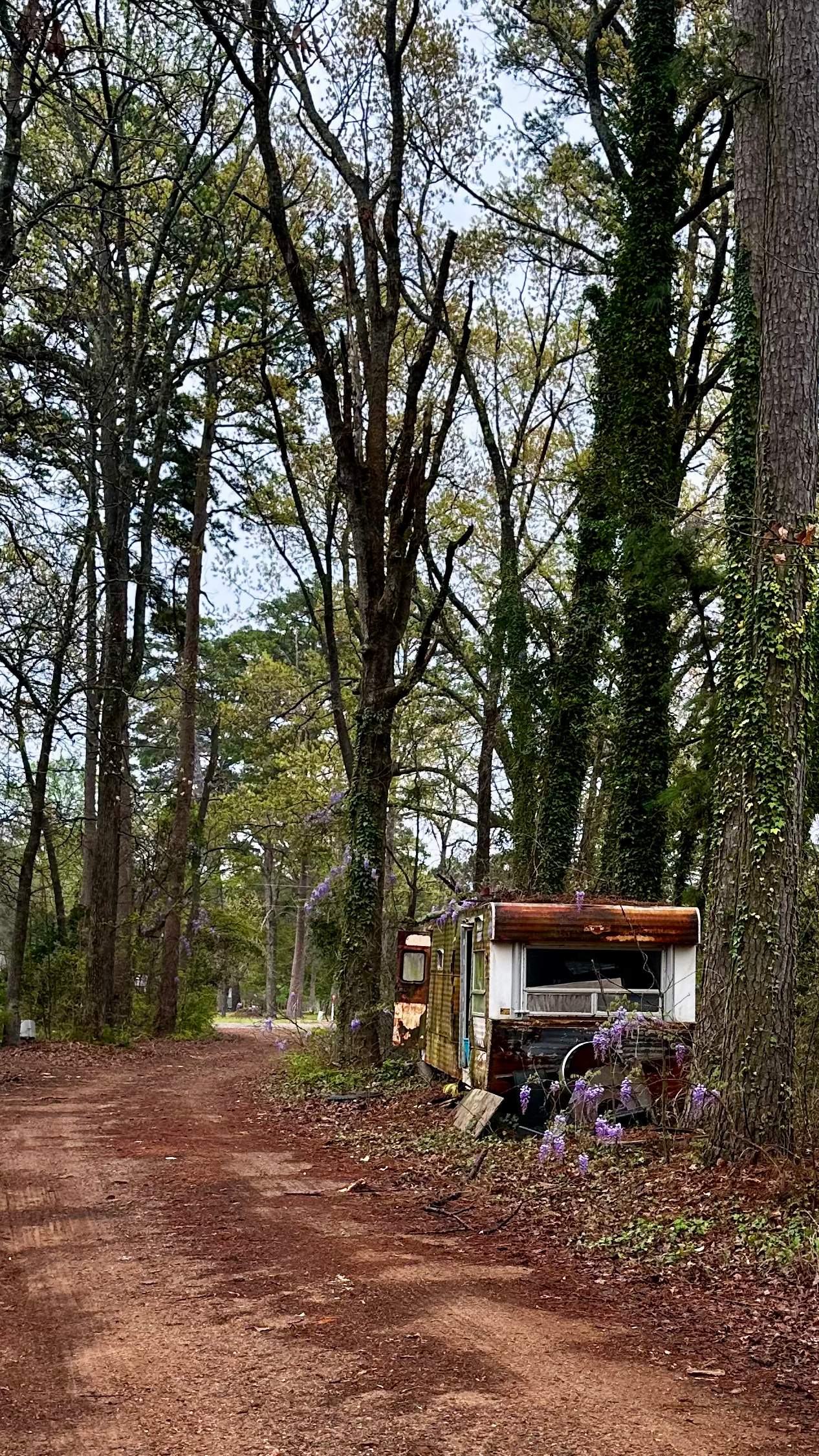 BeeGirl ETX HQ by Rockwall Honey Bee Company