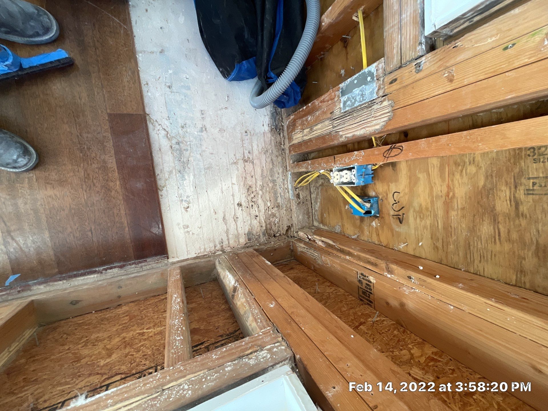 Luxury Home - Owners find termites and need interior selective demo, prior to repairs. by EAS Environmental, LLC.