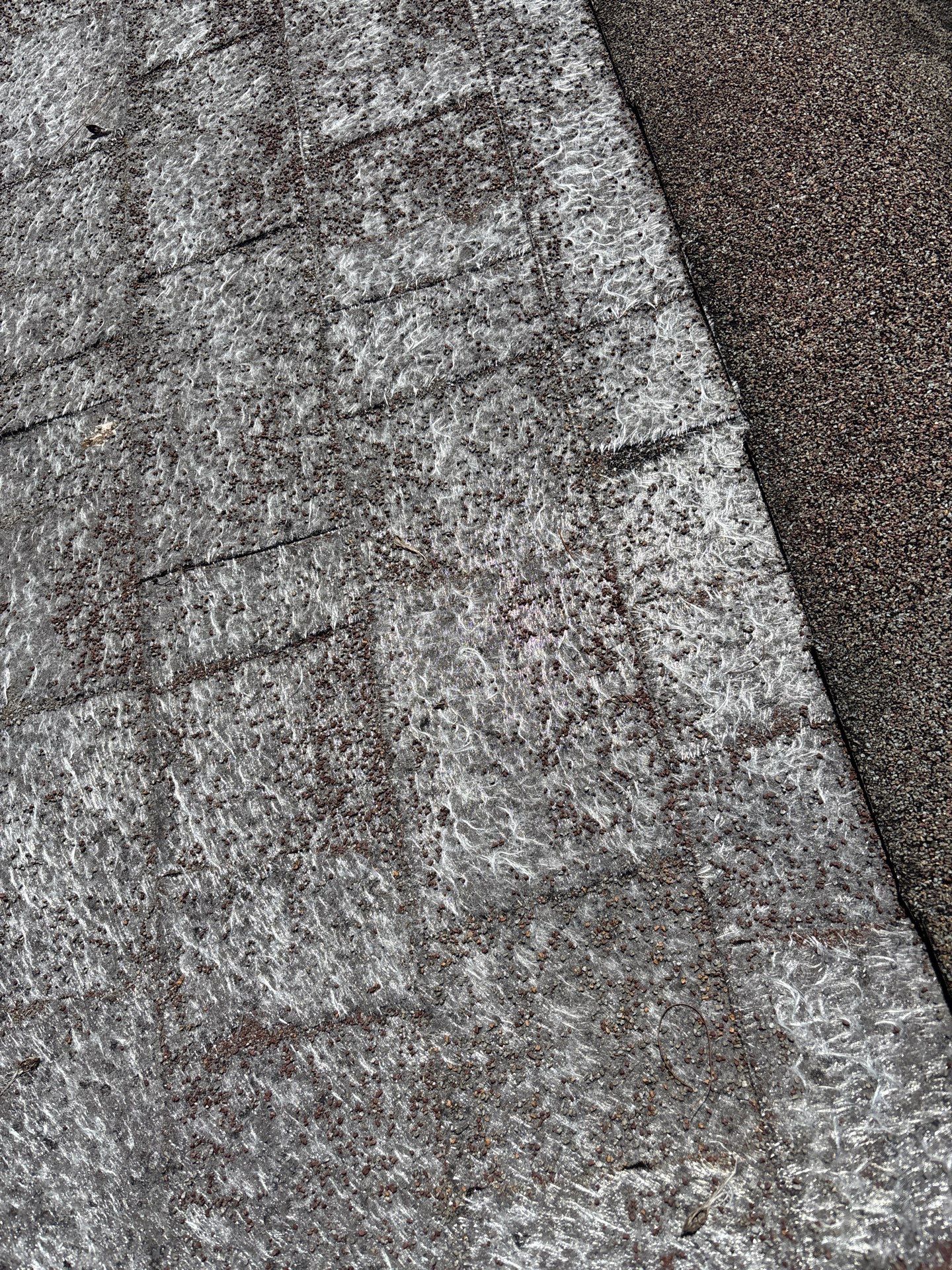 Landmark Pro - Shenandoah by Winchester Roofing
