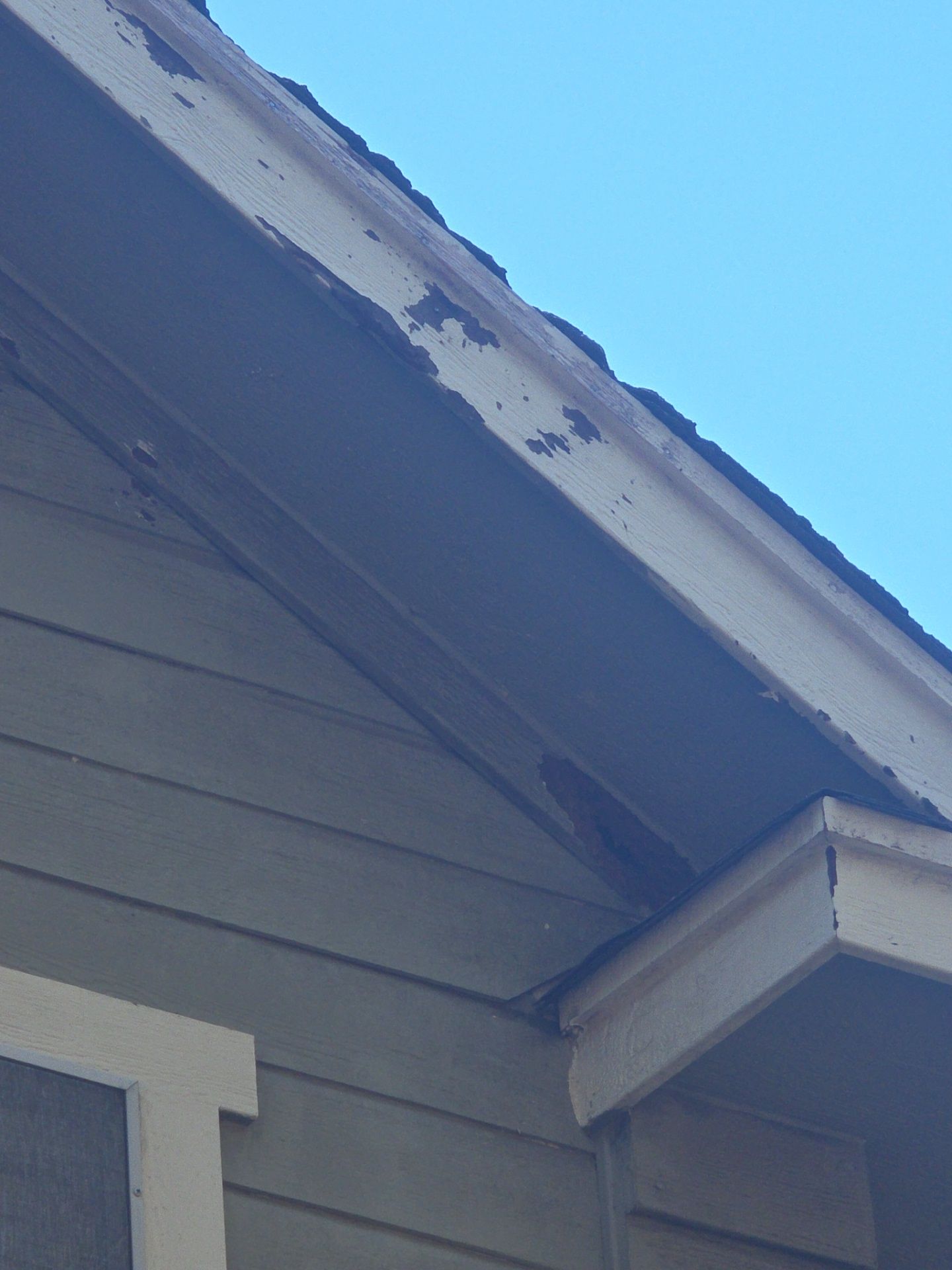 Just another roof ? by REPS OF TEXAS