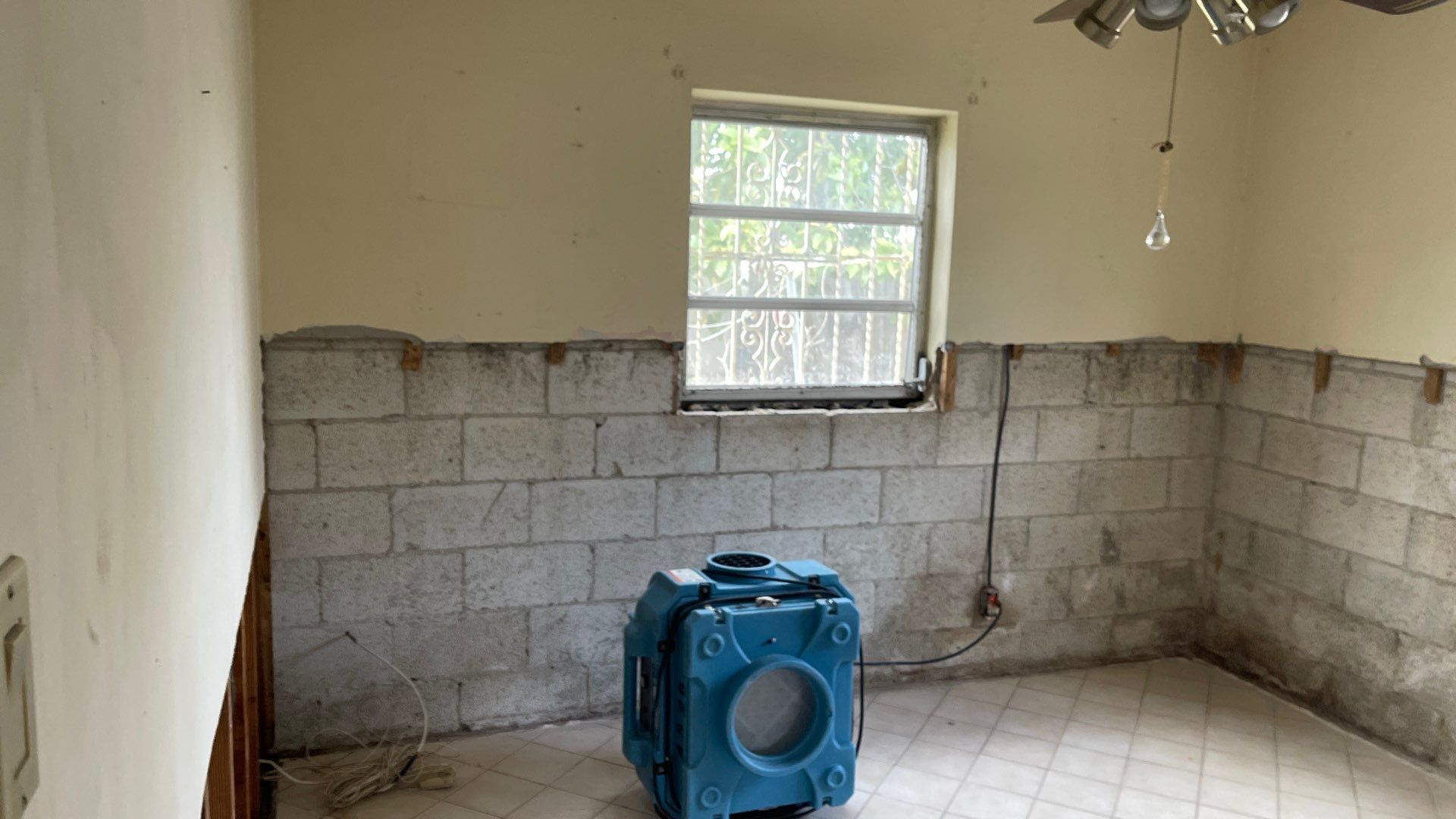 Mold Remediation  by THE RAPID TEAM