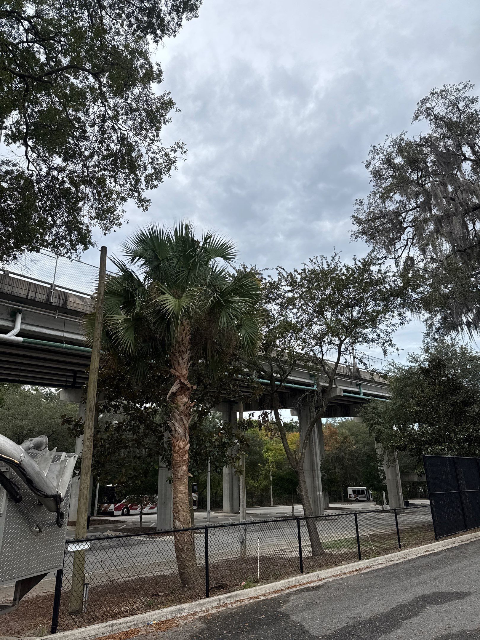 Volunteer Work | Episcopal High School of Jacksonville by ProGreen Services