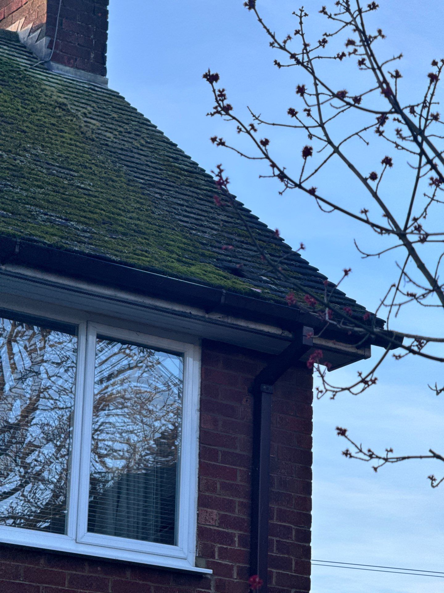 Roof Clean  - Moss Removal - Gutter Clean by Ges Exterior Cleaning ltd