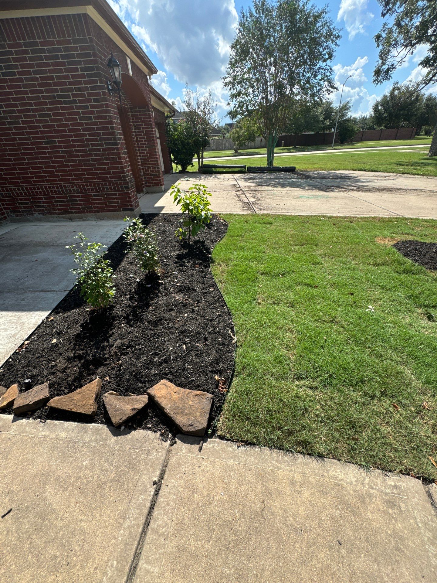 🌿🏡 Project Spotlight: Front Yard Curb Appeal Rescue for Mr. B. Khara by Texas Urban Elements