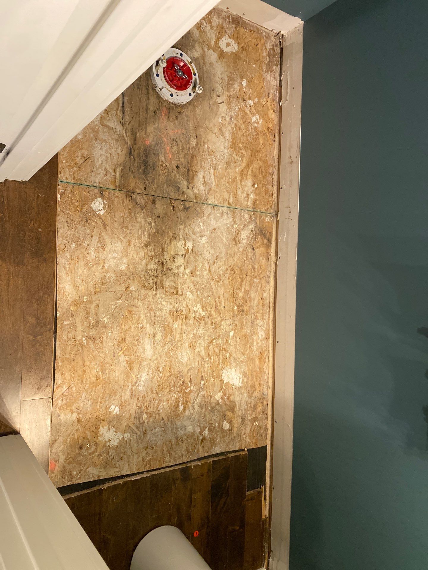Maple Installation by Rippnfinish