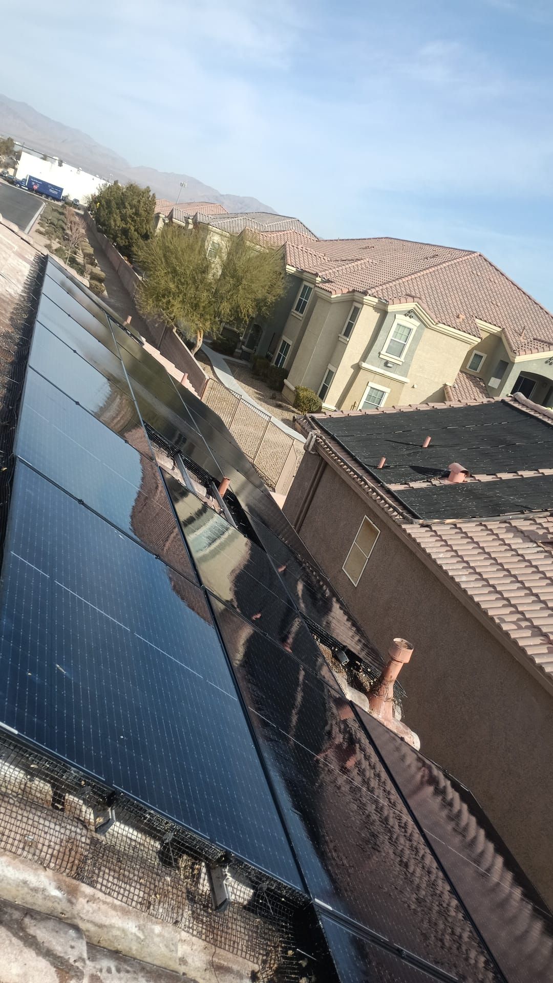 Excessive pigeon problem  by Solar Honest Cleaning 