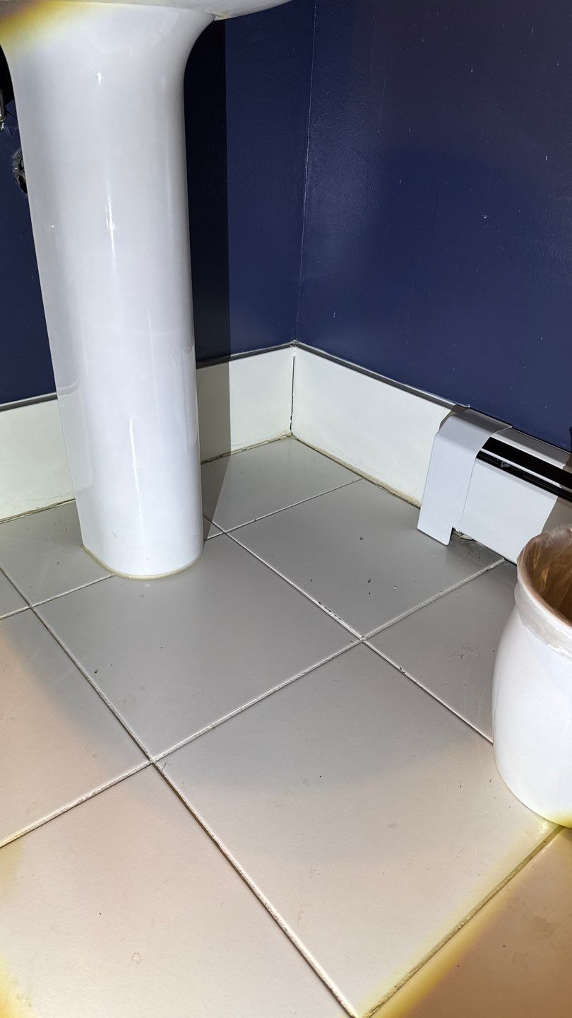Mold Project in Englewood by Accountable Home Services
