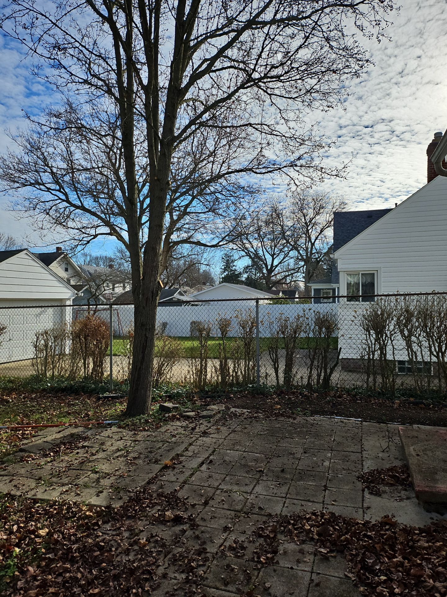 Tree Trimming using Tree Pruing by Mike Jones & Sons Tree Service LLC 