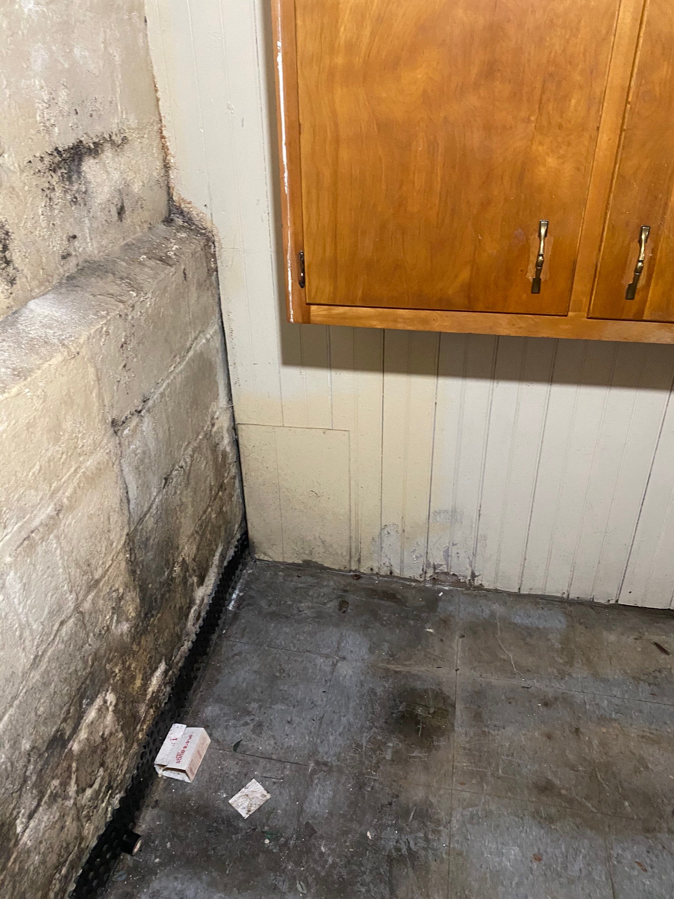 Interior French Drain Job in Bloomfield, NJ by Pure Service Pro, LLC 