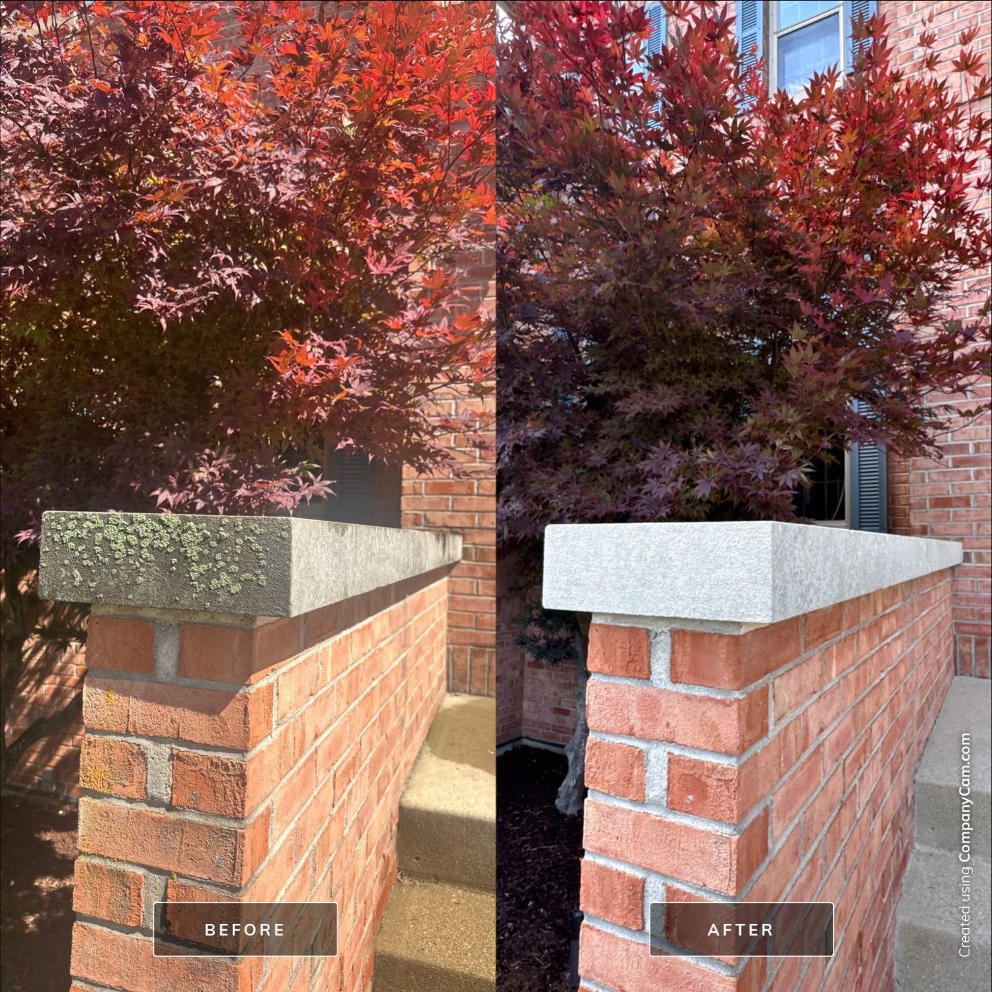 Project in Elgin by Simmons Power & Soft Washing