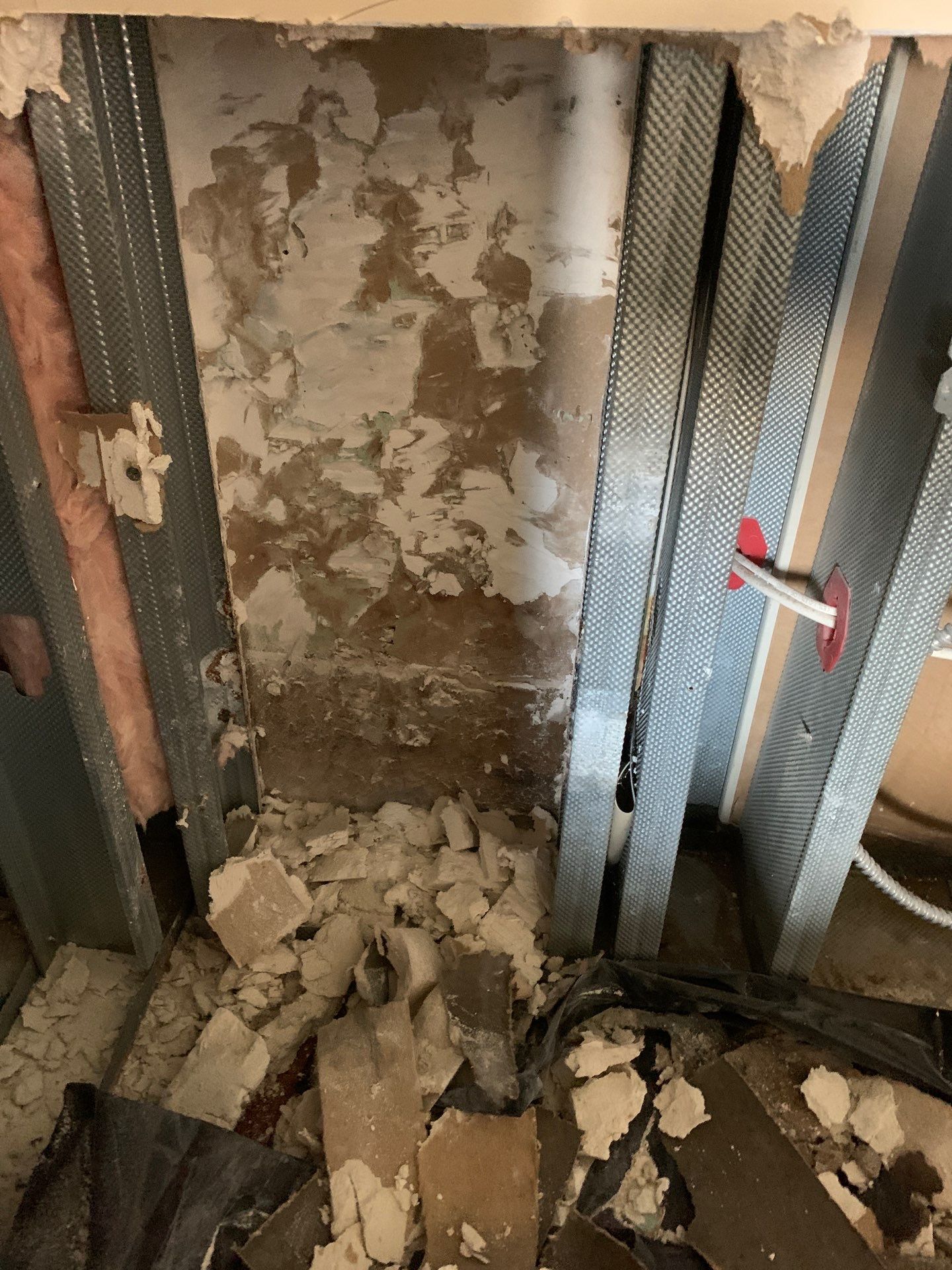 Mitigation and Restoration by EAS Environmental, LLC.