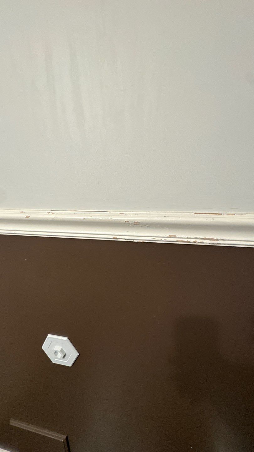 Before and After - Interior Painting  by EXCELLENCE | CARTO