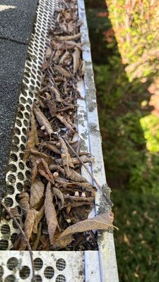 Turtle Shell gutter protection installation in Morris, IL 60450, photograph 19