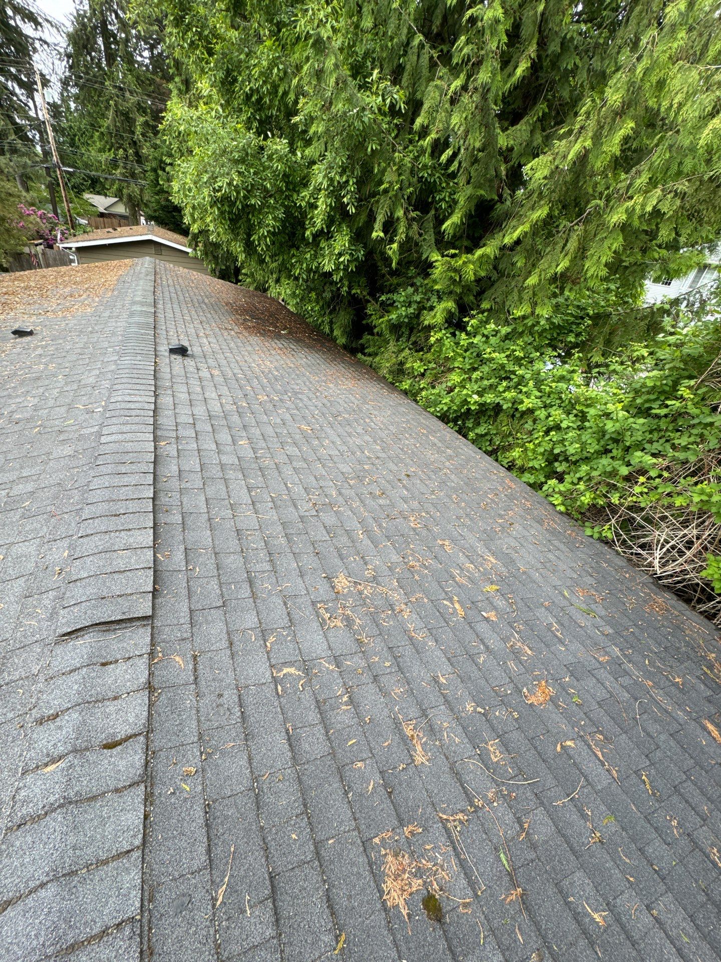 Project in Everett by Peaks and Valleys Construction