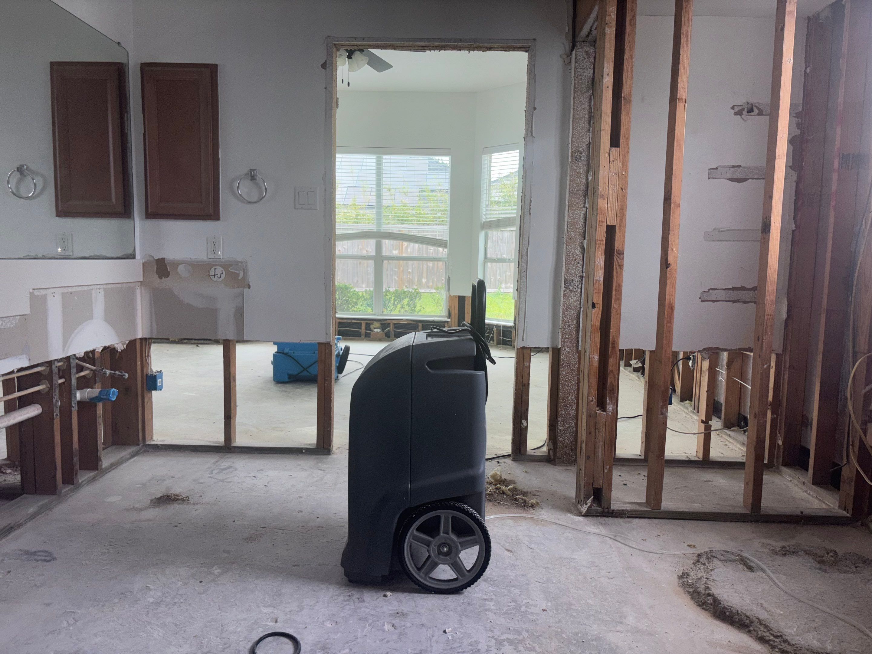 Mold Remediation Job in Cypress by Team Home Solutions