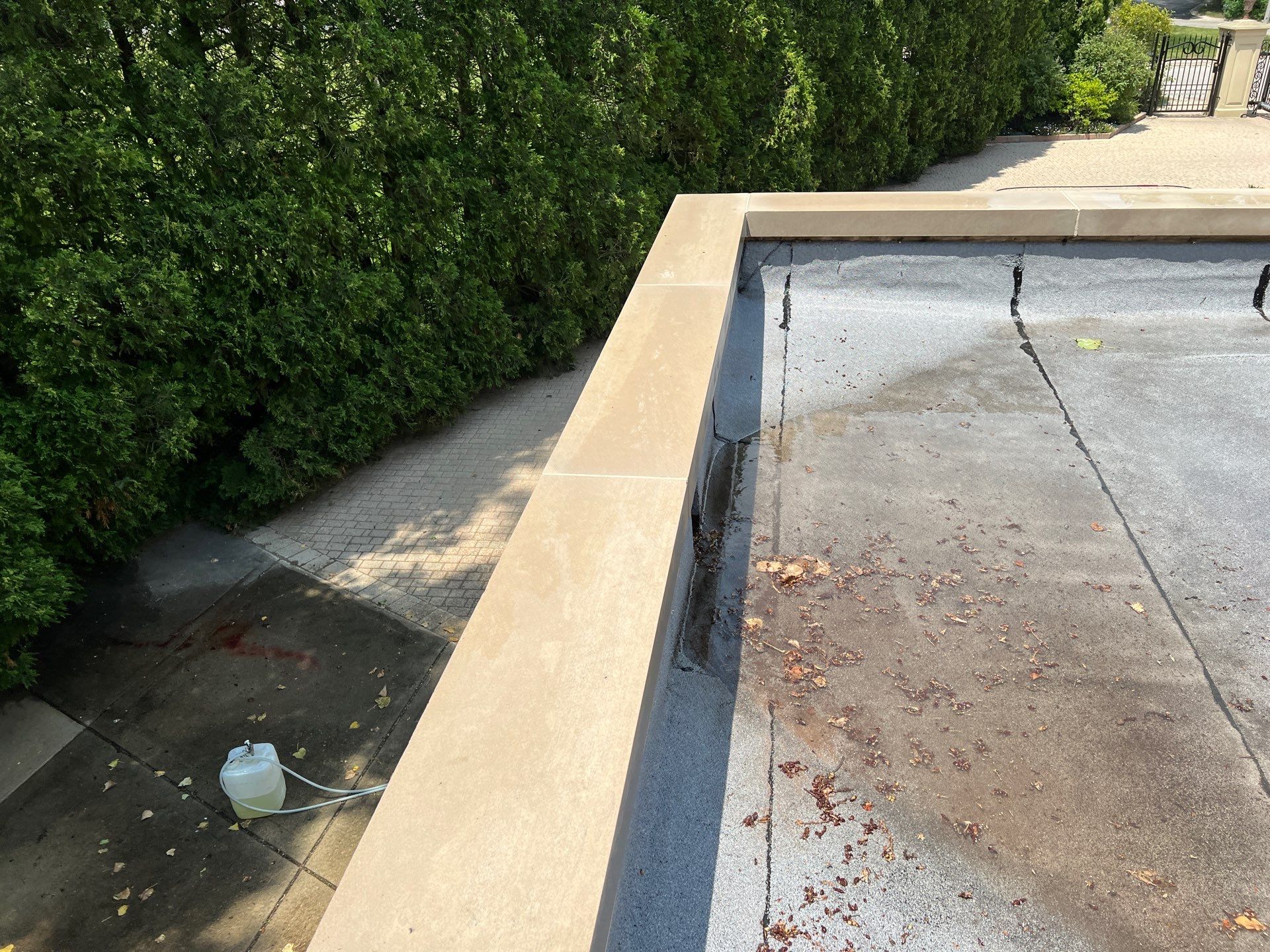 concrete cleaning using Algaecide, soft wash soap by Northern Power Washing LLC.