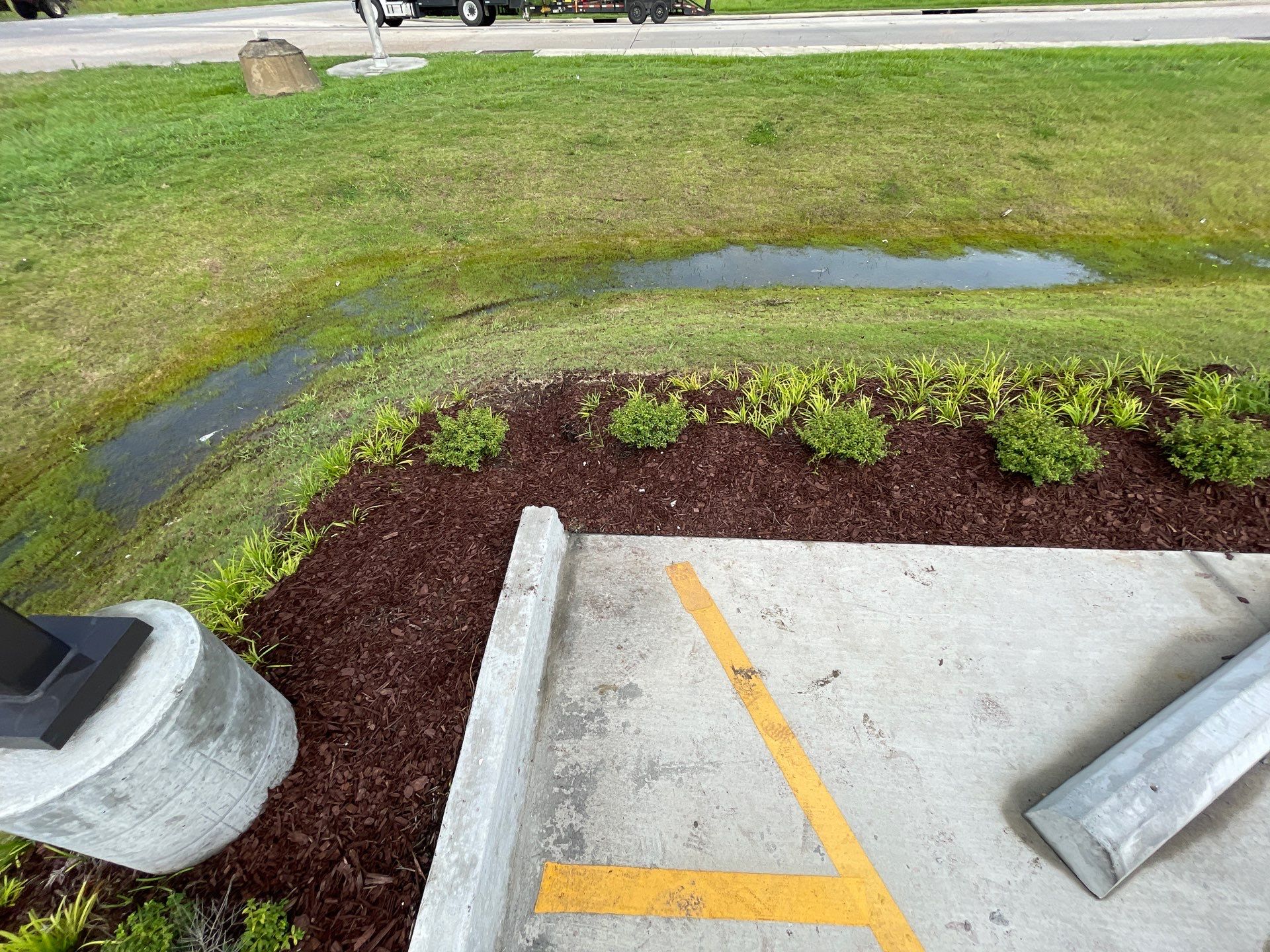 COMMERCIAL LAWN MAINTENANCE: HEDGE TRIM / BED CLEAN / MULCH INSTALL using BROWN MULCH "BARK BRITE" by CutScape, LLC.