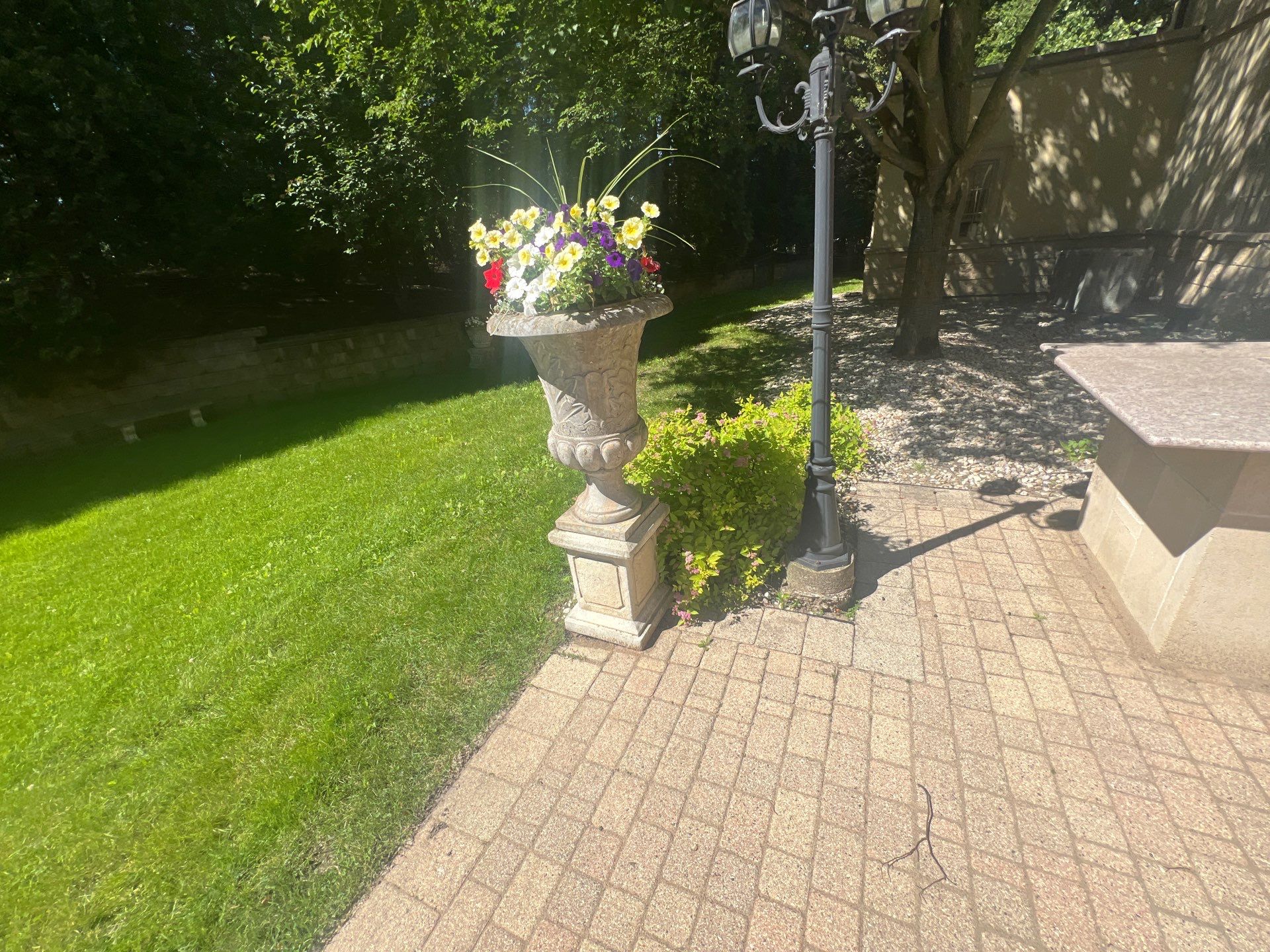 concrete cleaning using Algaecide, soft wash soap by Northern Power Washing LLC.