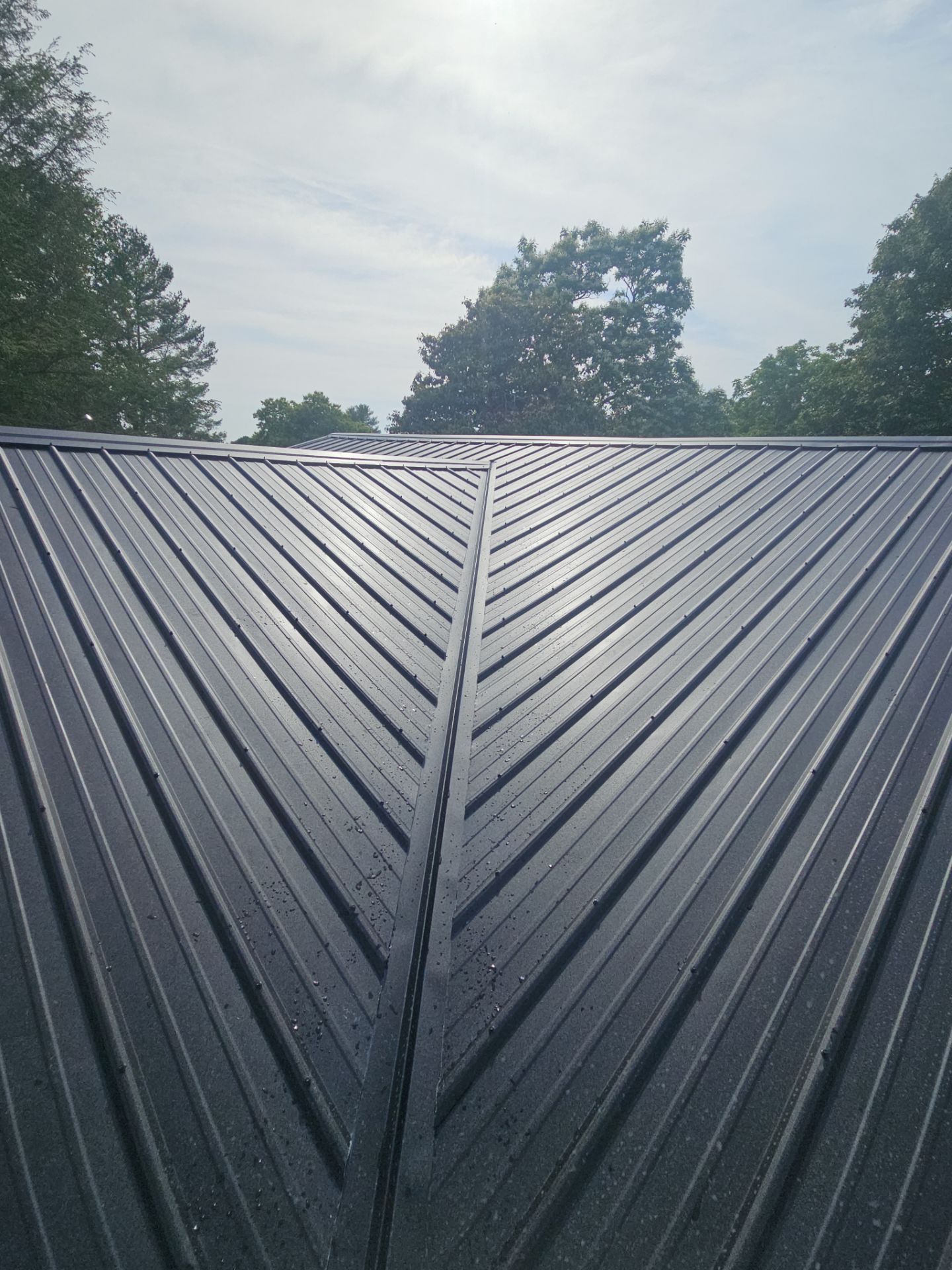 Malone Residence by Omnia Roofing