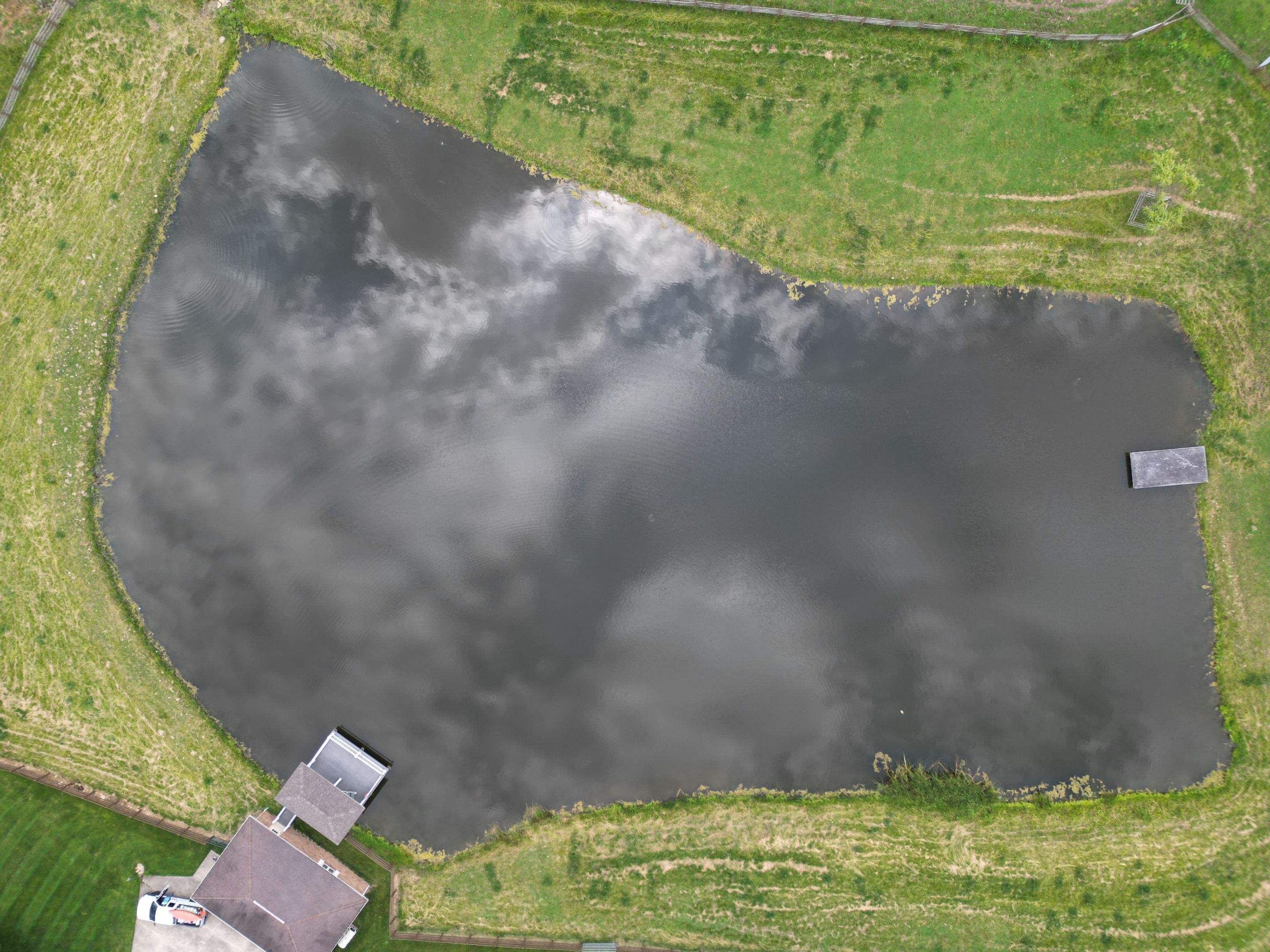 Maas Project by  Bellus Aquatic Solutions