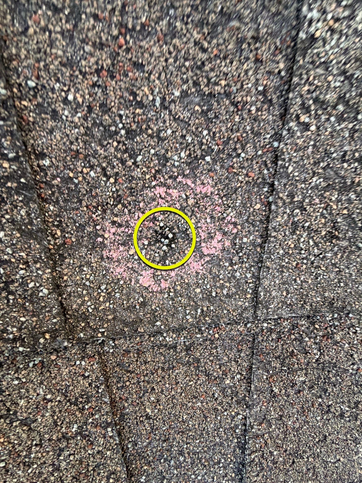 Chad Inspect by Boss Hogg Roofing
