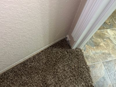 Project in Littleton