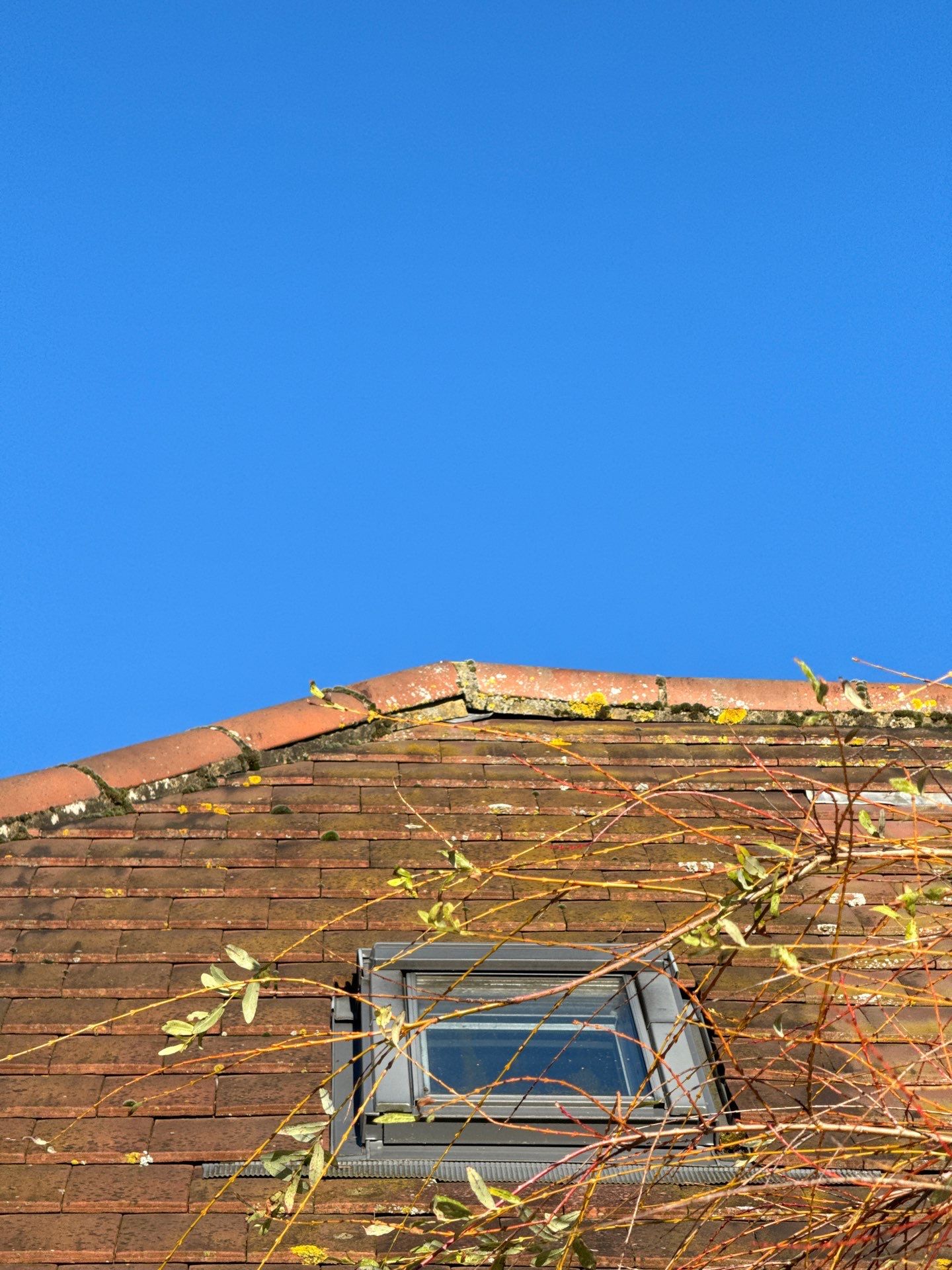 Large Care Home Roof Clean using Mosmatic FSC and Biocide by Ges Exterior Cleaning ltd