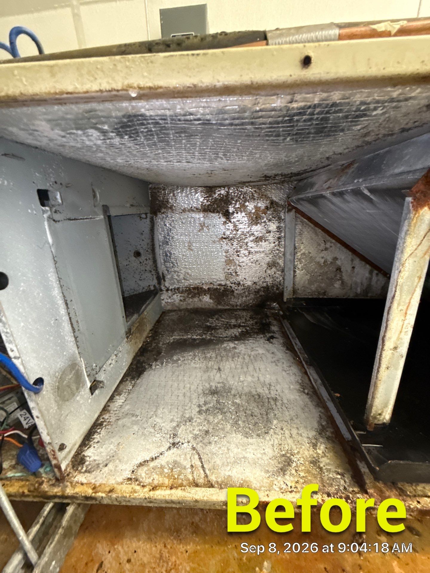 T.I.E.S. 360, LLC - Air Duct Cleaning Sarasota featured photo.