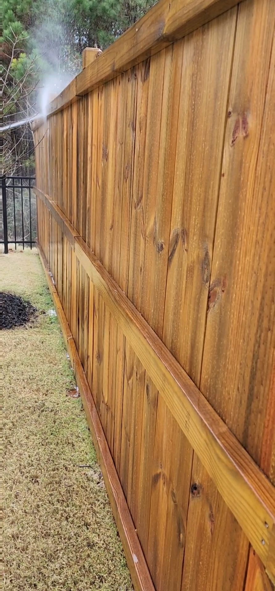 Fence Staining using Cape Cod Grey by SSE by Titans of Timber Fence & Stain