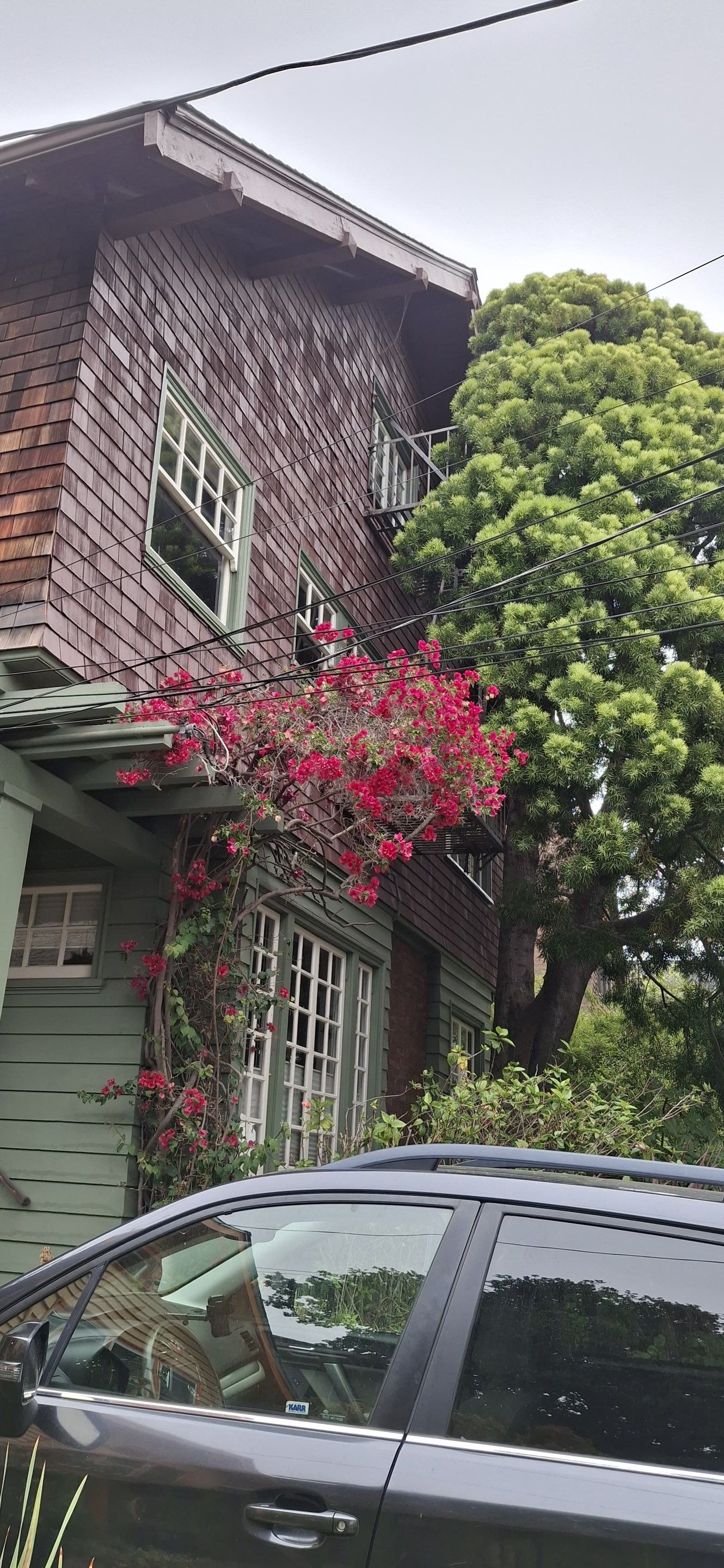 Howe St, Berkeley  by Golden State Builders Group