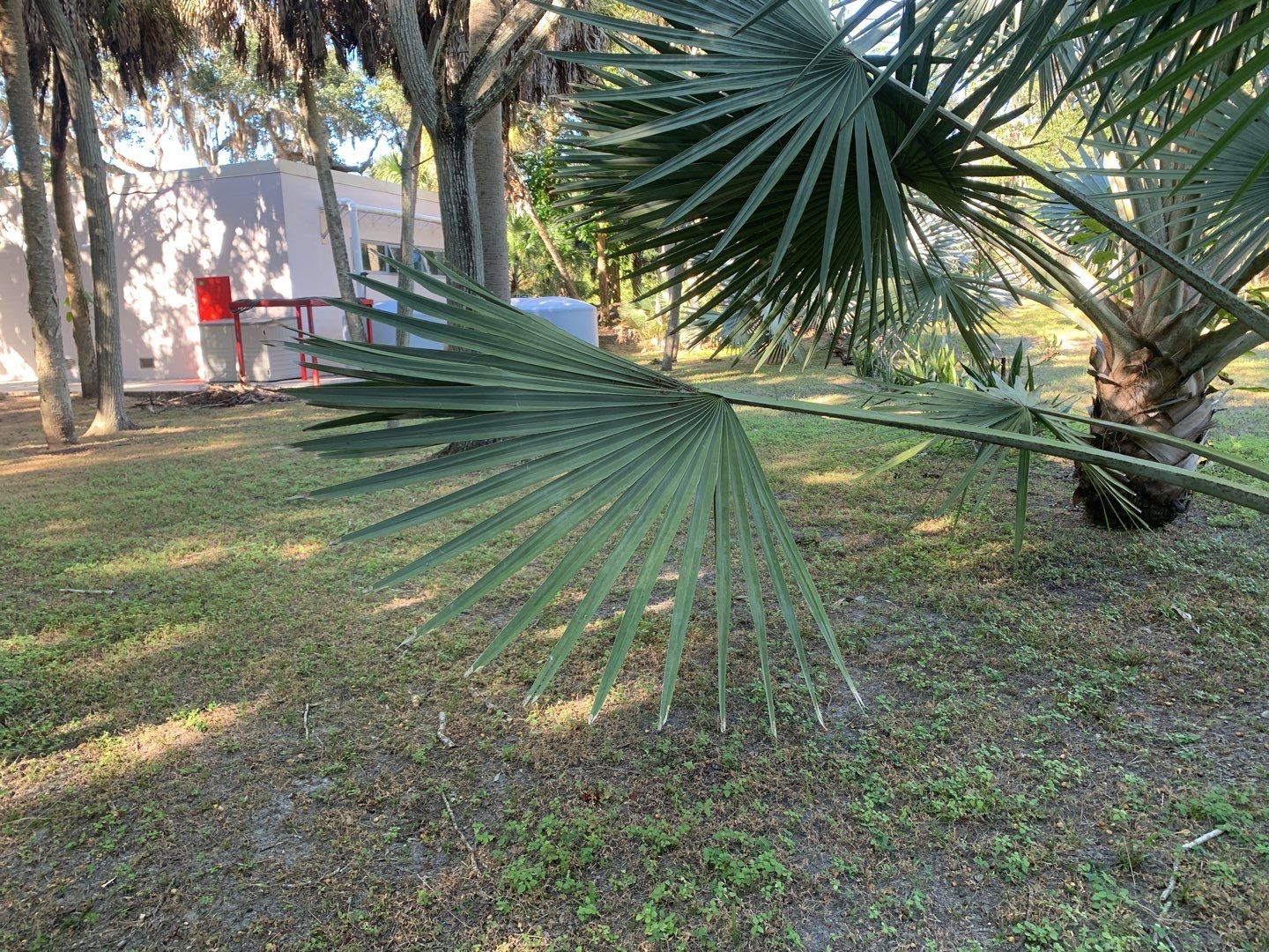 Sarasota, FL 4ft. Tall 3-Rail Aluminum Fence by Asap fence and gates, LLC