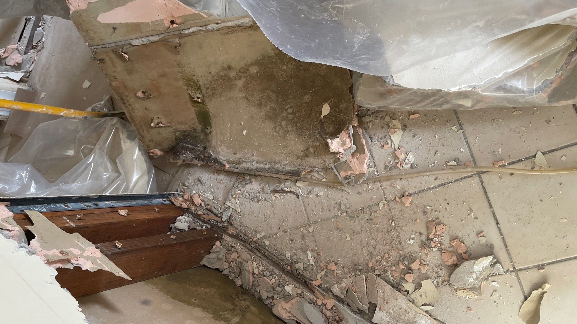 Mold Remediation  by THE RAPID TEAM