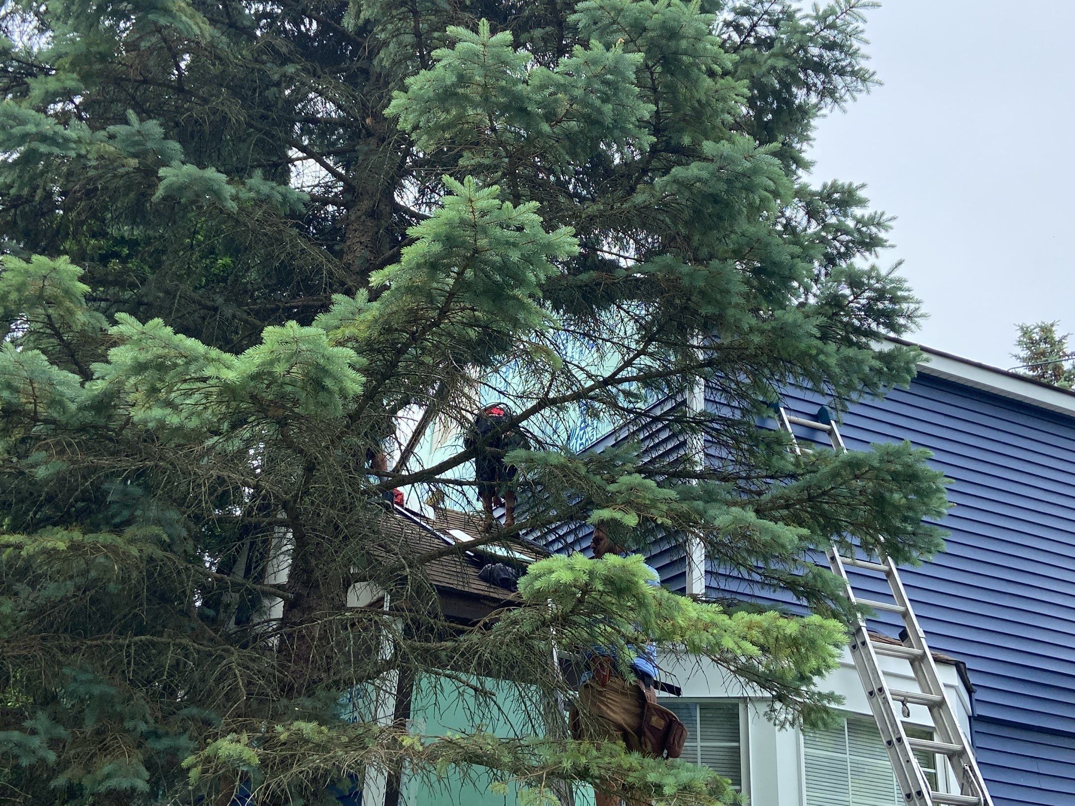 Siding Replacement using CertainTeed Restoration Classis D4 by 180 Contractors
